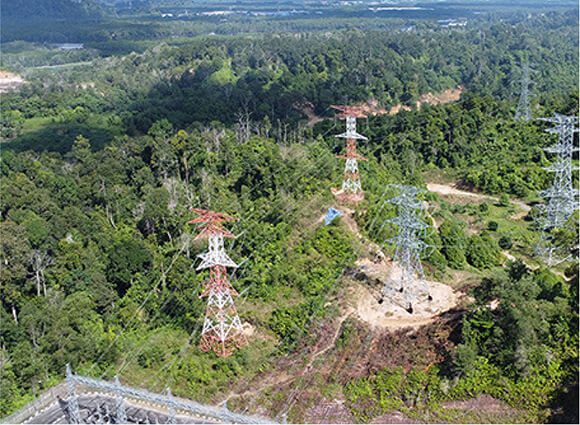 Aerial shot of towers and forest